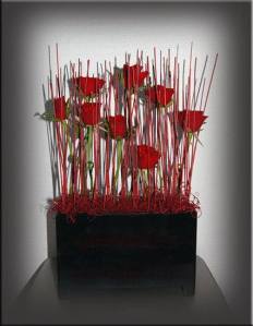 10924744_10204864300321558_1469088528000824399_n