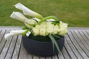 11182661_427154104128128_6459202240440964184_o