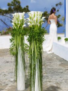 12ebe35a44ad0512114186f42c909f11