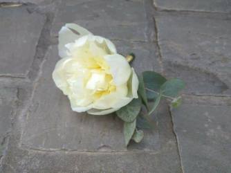 19748670_786598928183642_6819443843280028897_n