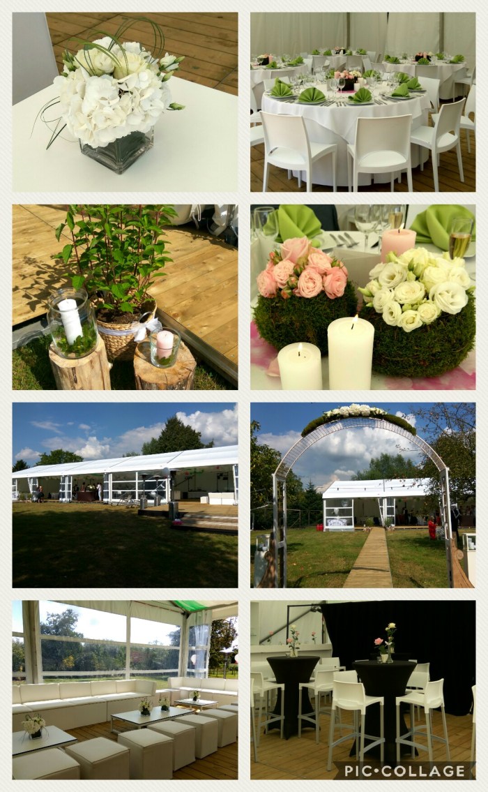 Collage 2017-09-02 14_54_44