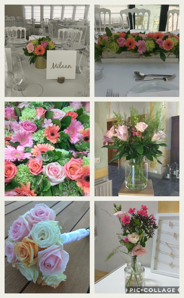 Collage 2018-07-07 09_52_35