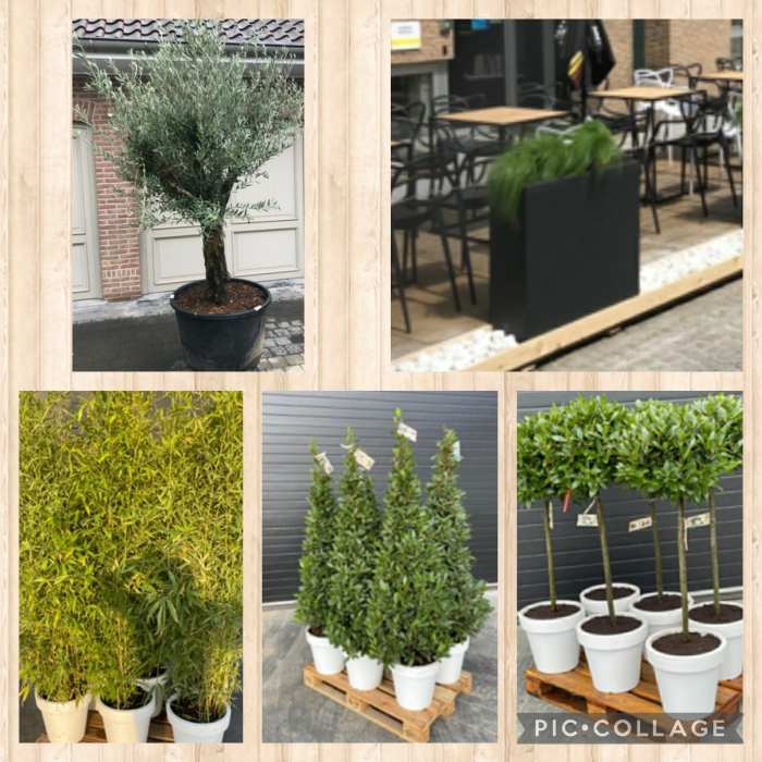 IMG_20221014_094620_722